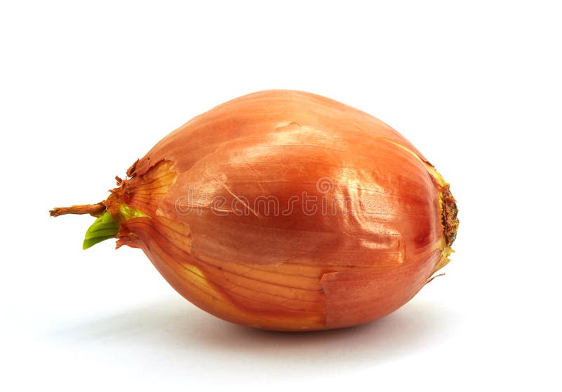The image of a natural vitamin for humans - onion. Which has the necessary and beneficial vitamins that protect the human body from viruses stock photos