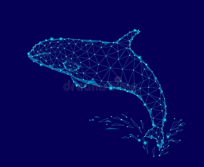 Killer whale 3d polygonal triangle model. Underwater sea wild danger monster. Glowing blue connected dots wire mesh logo. Water splash vector illustration art royalty free illustration