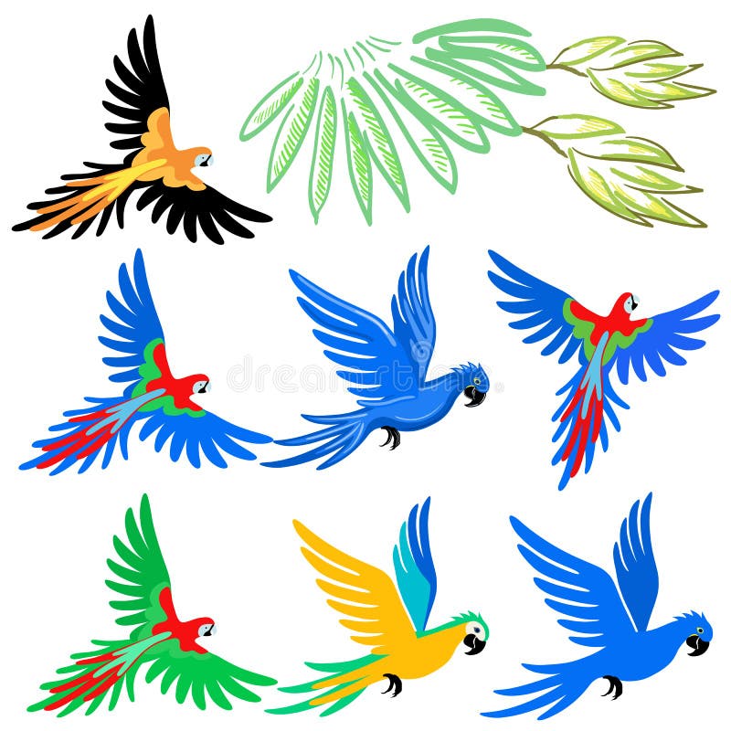 Macaw parrot pattern set. Vector illustration on white background royalty free illustration