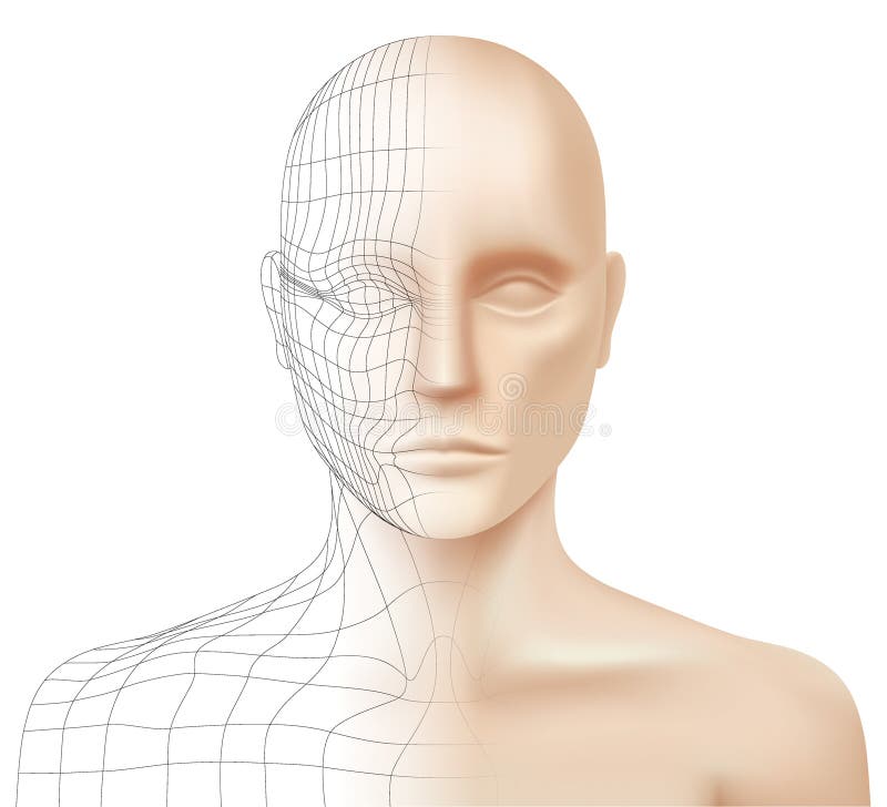 3D modeling vector background. Half transparent face of a Caucasian young man with polygonal lines, isolated on a white background. Model sculpting and vector illustration