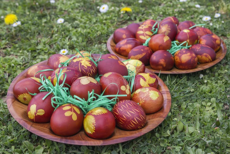 Natural dyed easter eggs colored with onion skins. On meadow. Dyeing Printed Easter Eggs. Selective focus and shallow dof stock image
