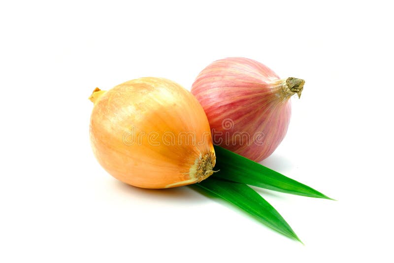 Natural fresh yellow onion isolated on white background stock images