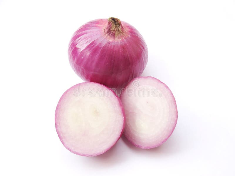 Onions. Two onions one cut and one whole isolated on white royalty free stock photo