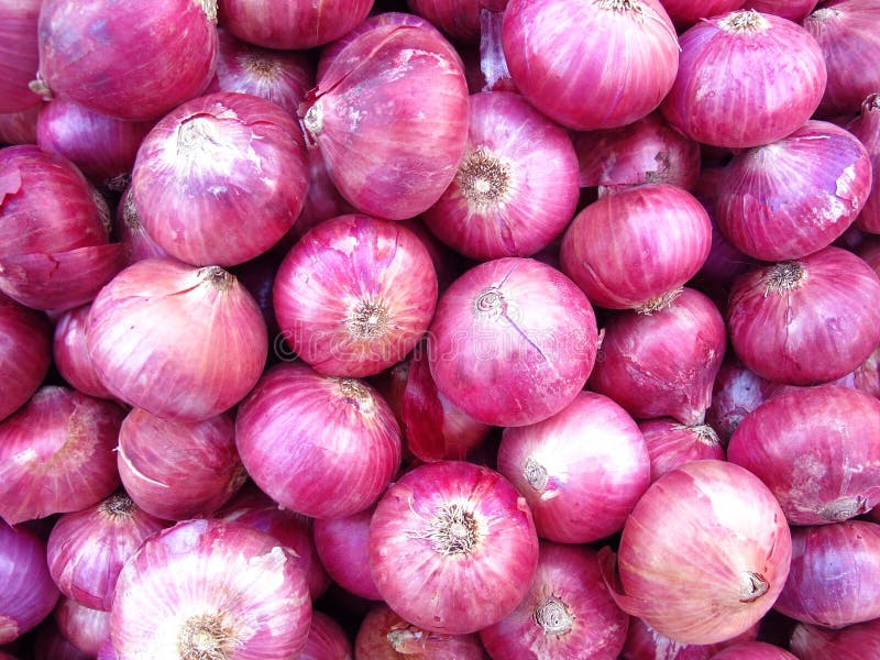 Onions. Red onions for sale in indian market royalty free stock image