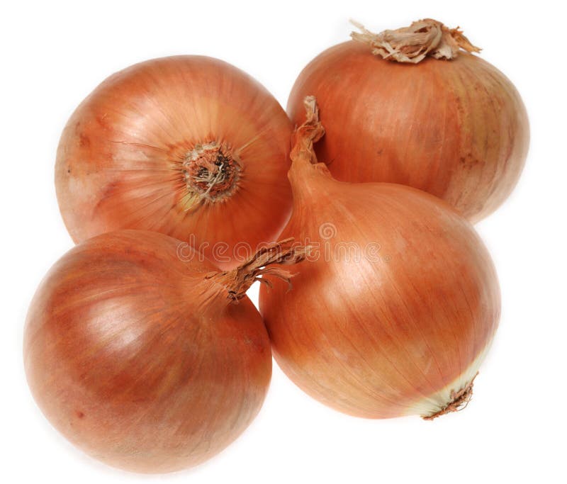 Onions. Image of four onions (Allium cepa) isolated against a wh