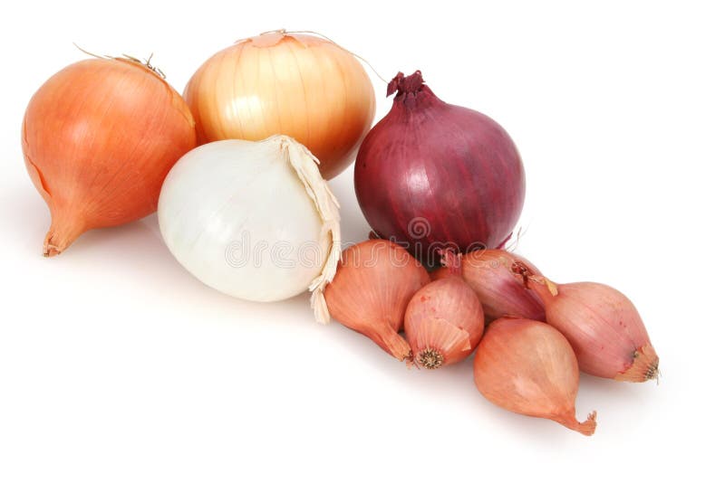 Onions!. Onions ~ brown, white, spanish red, and french shallot. Isolated on white royalty free stock photography