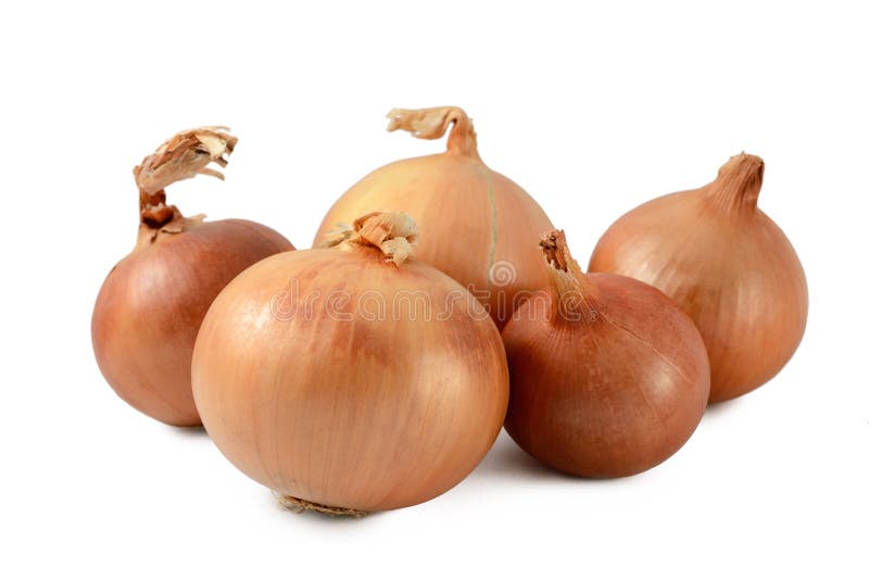 Onions. Common onions on white royalty free stock photography