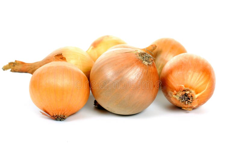 Onions. Fresh gold onions close-up stock photography