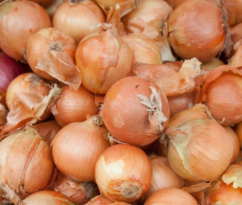 Onions. Basket full of ripe onions stock photo