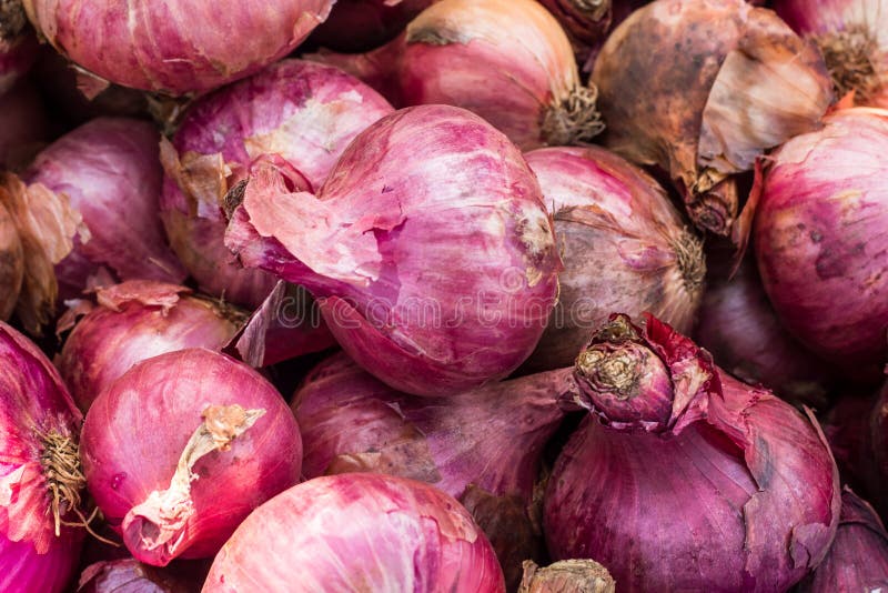 Onions. A bunch of onions on display at a market royalty free stock images