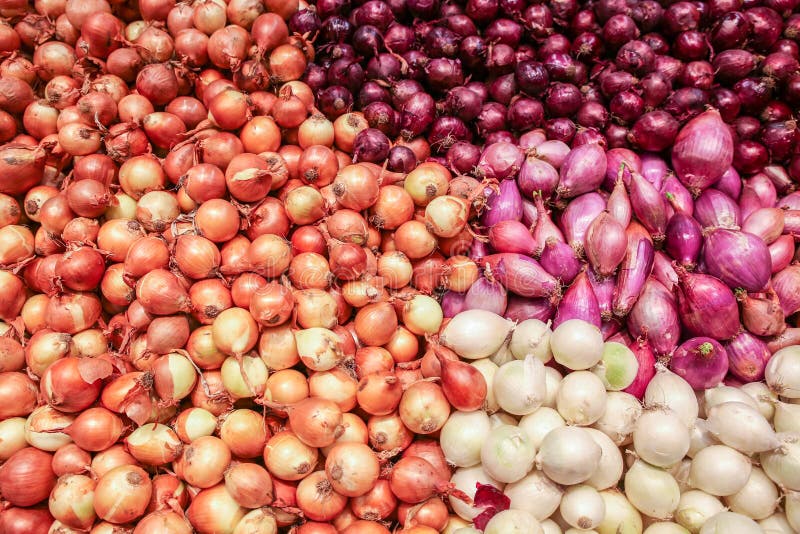 Onions. Different colors onions in store bulk sales royalty free stock photos