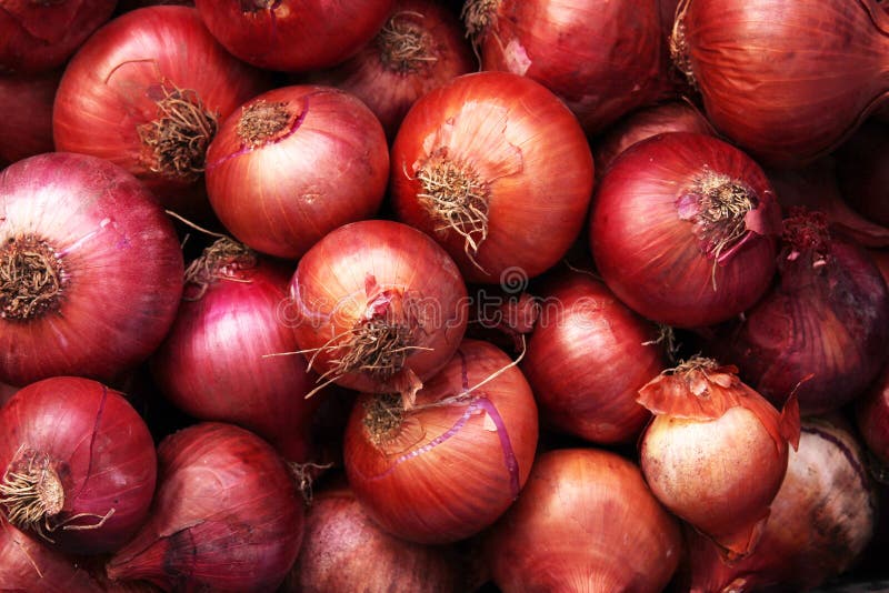 Onions. Fresh organic red onions in market stock photo