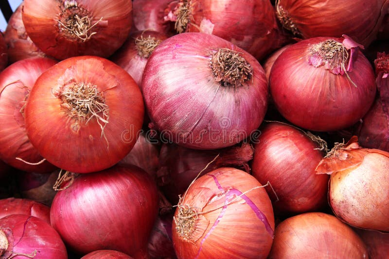 Onions. Fresh organic red onions in market royalty free stock images