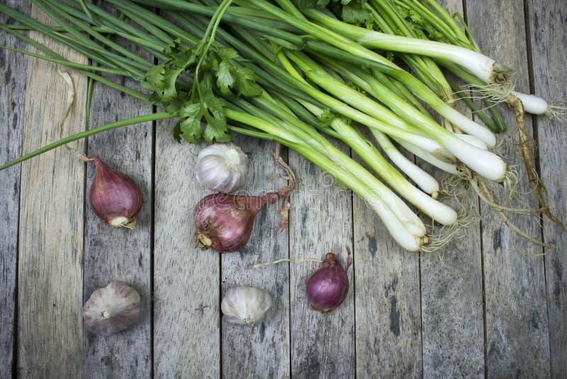 Onions garlic and welsh onion. On wood plank stock images