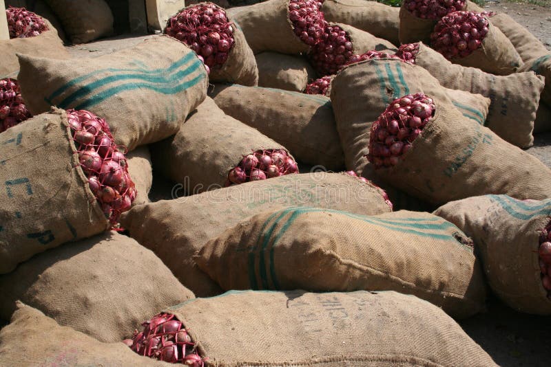 Onions. Sacks of red onions in Swat valley, Pakistan stock image