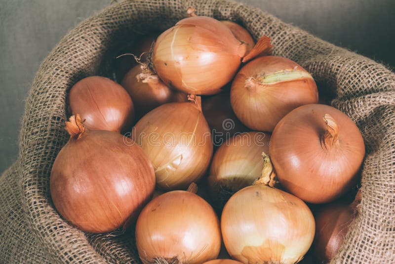 Onions. Some onions in an old sack stock photo