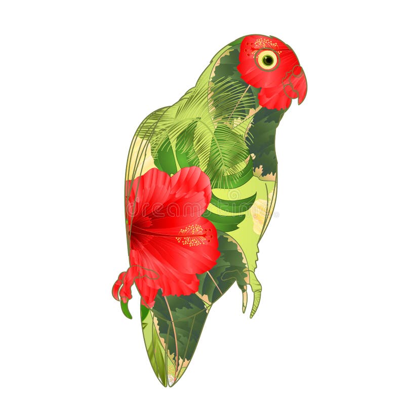 Parrot Agapornis lovebird tropical bird floral pattern red and yellow hibiscus palm on a white background vector illustration edi. Table hand draw vector illustration