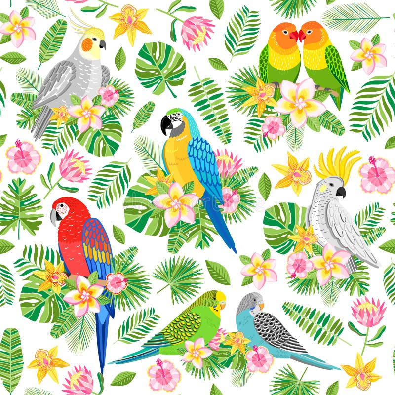 Parrot seamless pattern. Tropical, jungle bird background. With flowers and plants stock illustration