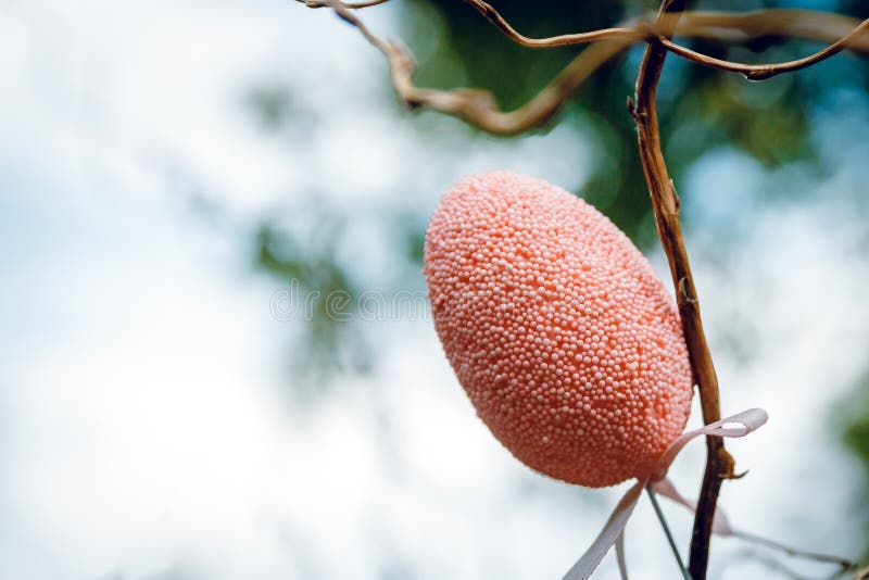 A pink decorative egg decorated with beads on a light background Blue background. Botanical Garden. stock image