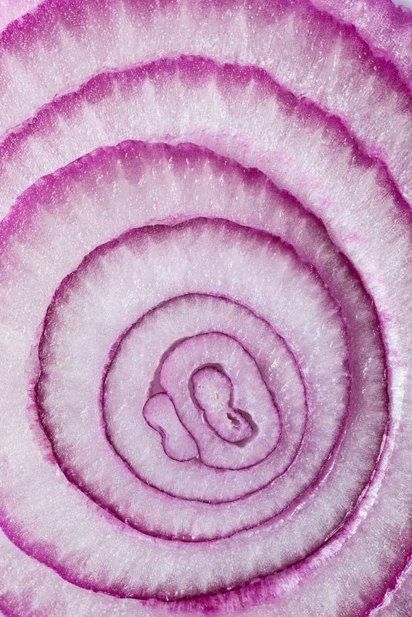 Purple onion slice pattern. As concentric rings,top view royalty free stock photos