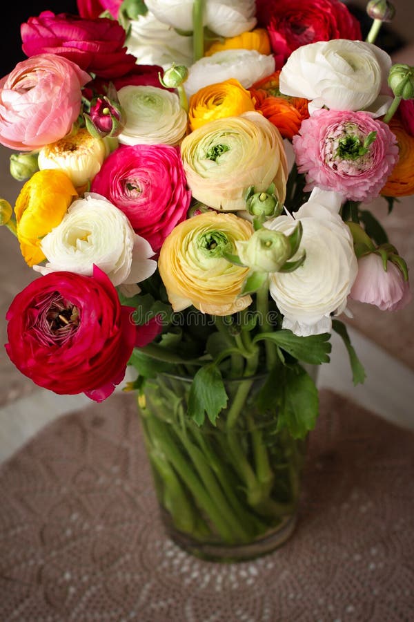 RANUNCULUS BULBOSUS, spring colorful bunch of flowers, womens day march 8 postcard concept. RANUNCULUS BULBOSUS, spring colorful bunch of flowers, womens day stock photo