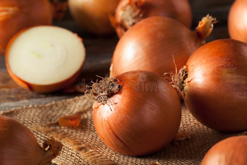 Raw Organic Yellow Onions. Ready for Cooking royalty free stock photography