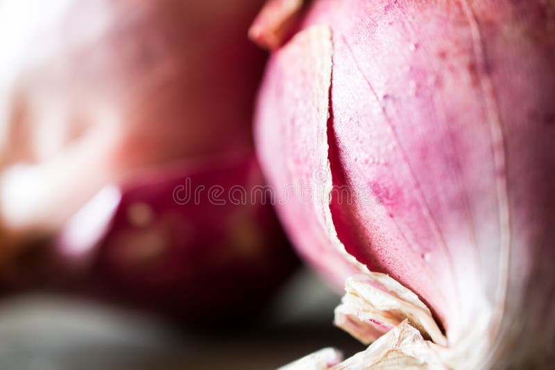 Red onion Background. Nature pattern and texture close up shot. Red onion texture. Nature background and pattern close up shot royalty free stock photography
