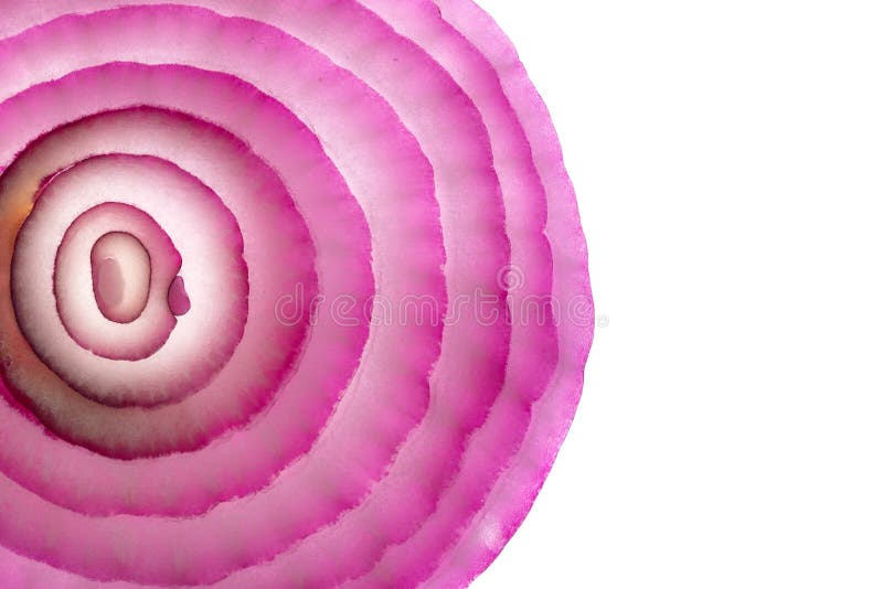 Red onion slice pattern like concentric rings on white background. Red onion slice surface looks like biologic cells,concentric rings pattern or flower on white royalty free stock photos