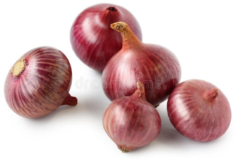 Red onions. On white background stock photos