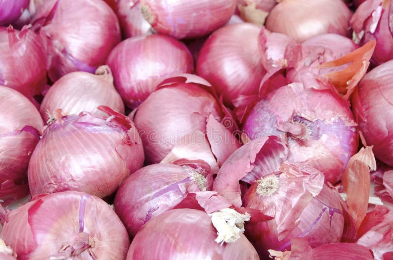 Red Onions. For sale in the outdoor farm market stock photos
