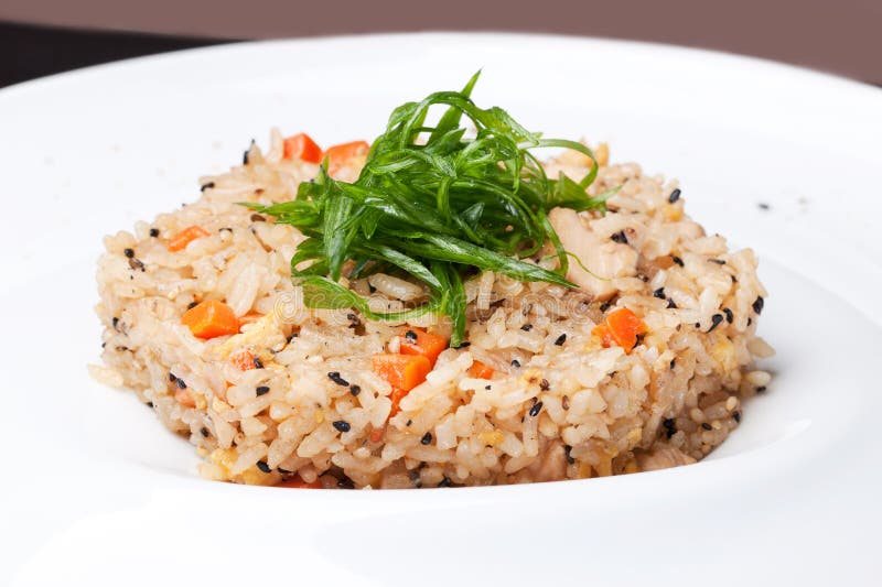 Rice with green onions. And brown on a white plate stock image