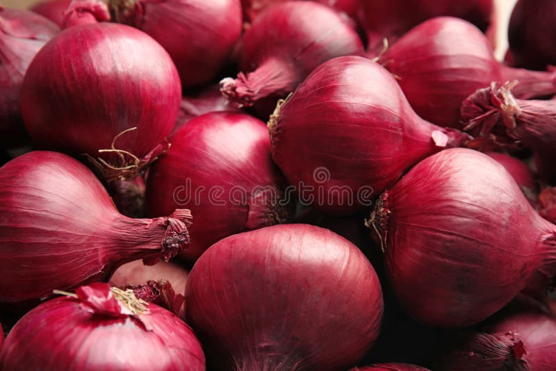 Ripe red onions. As background royalty free stock images