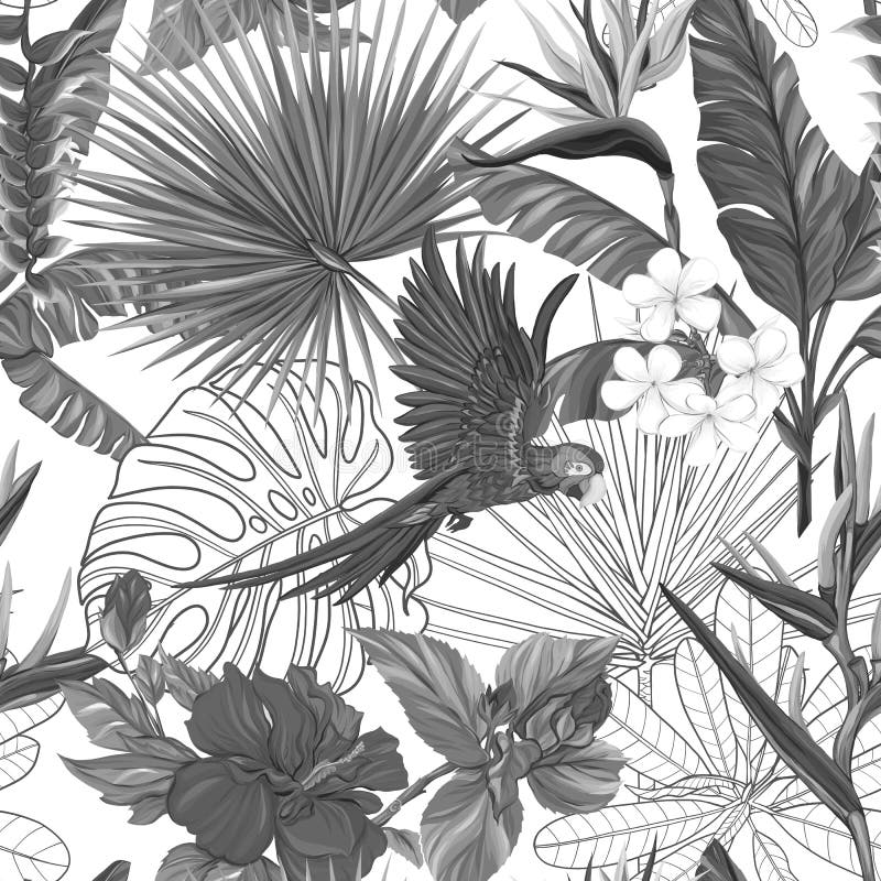 Vector seamless pattern, background with parrot and tropical plants. Seamless pattern, background with parrot and tropical plants on white background. Hand drawn stock illustration