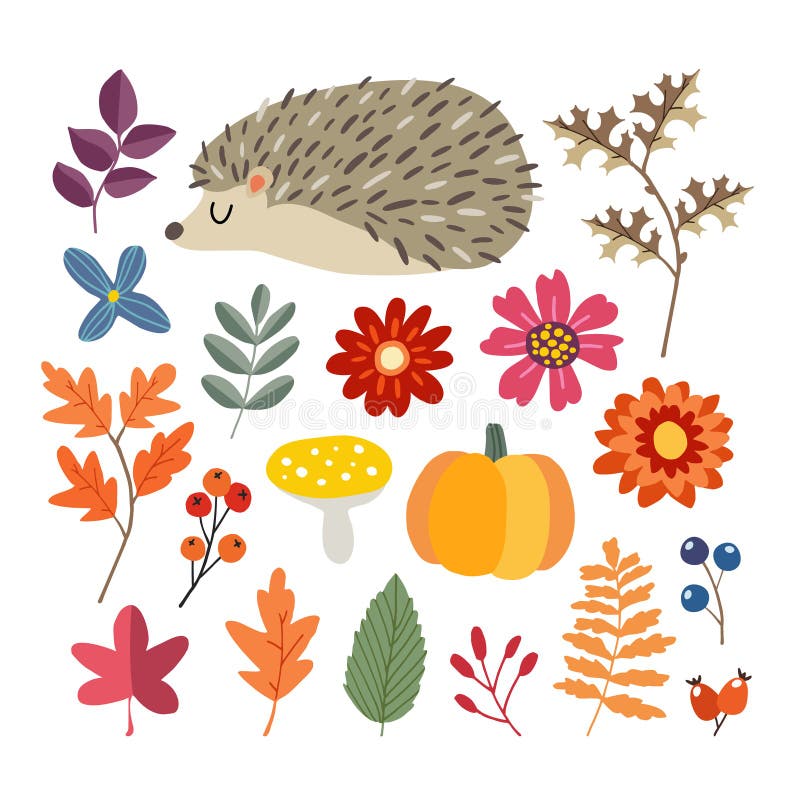 Set of cute hand-drawn autumn elements. Hedgehog, pumpkin and various flowers, berries and leaves collection. Fall. Concept. vector illustrations, objects, flat stock illustration