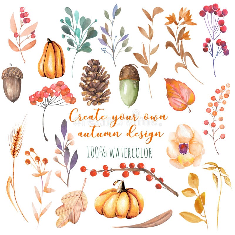 Set of watercolor autumn plants: pumpkins, fir cones, wheat spikes, yellow leaves, fall berries, acorns royalty free illustration