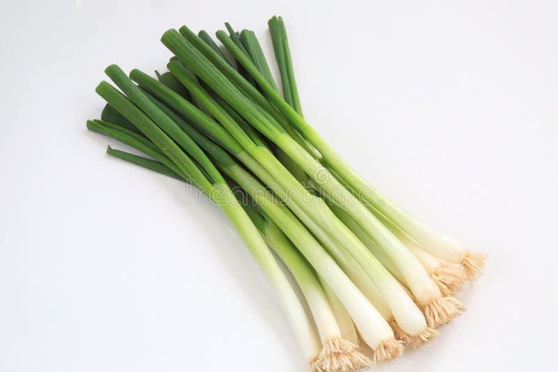 Spring onions. A stack of spring onions background stock image
