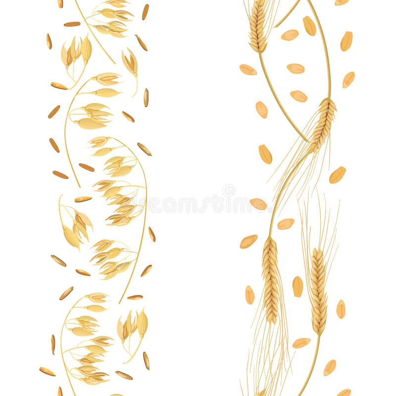 Stripes of Wheat and oat ears with grains seamless pattern. Golden spikes. Sheaf royalty free illustration