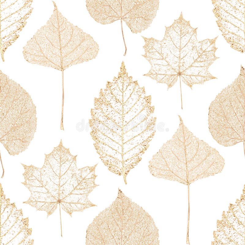 Transparent gold skeleton leaves autumn seamless pattern vector illustration