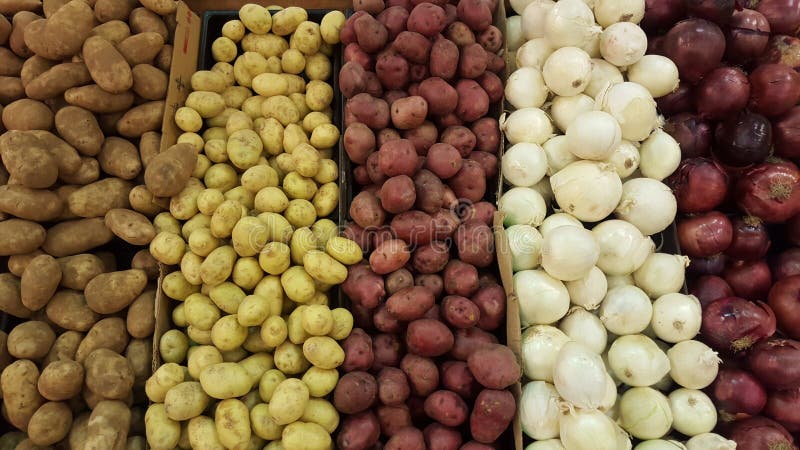 Variety potatoes and onions of different species and colors. Pile of fresh potatoes and fresh onions in a grocery store. Shelves in a supermarket. Healthy food stock photography