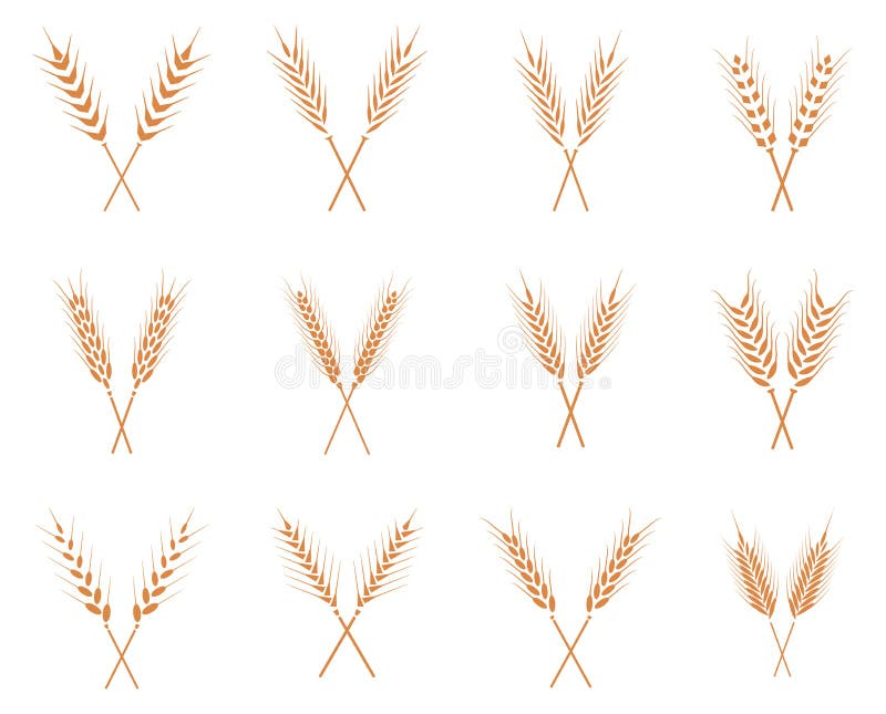 Vector wheat ears icons set. royalty free illustration