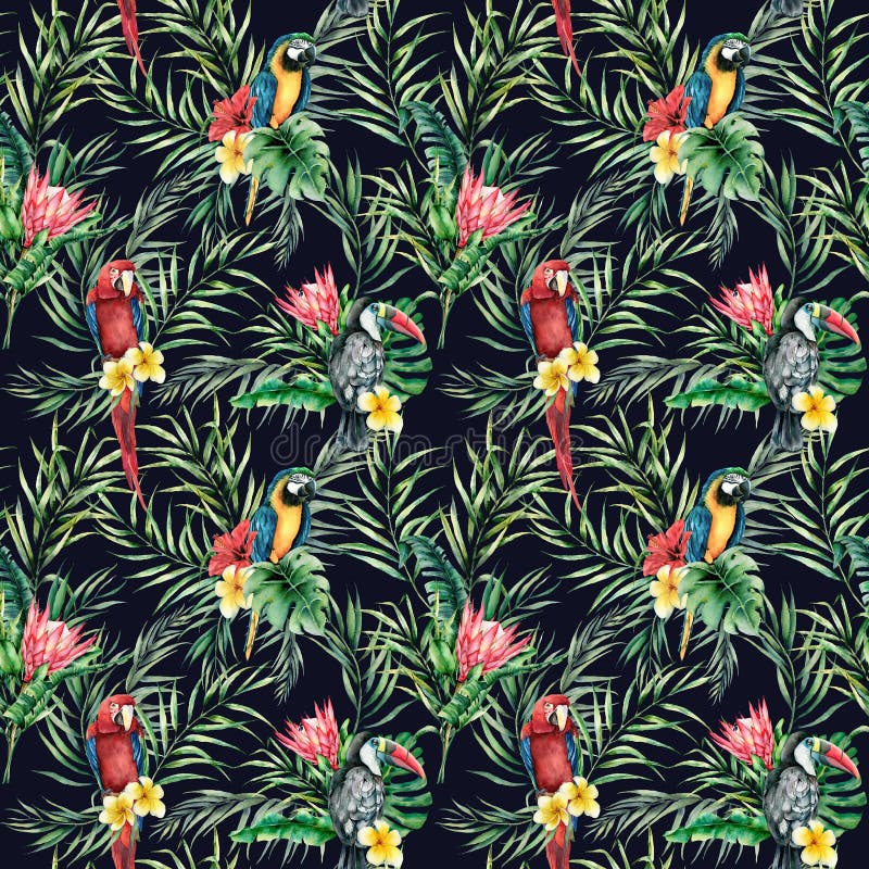 Watercolor toucan and parrot seamless pattern. Hand painted illustration with bird, protea and palm leaves isolated on. Black background. Wildlife illustration stock illustration