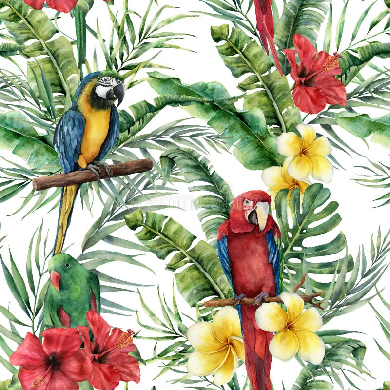 Watercolor tropical seamless pattern with tropical leaves and parrot. Hand painted flowers and palm branch on white. Background. Botanical illustration for vector illustration