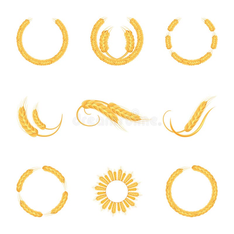 Wheat ears or rice icons set. Agricultural wheat spikelets symbols isolated on white background. stock illustration