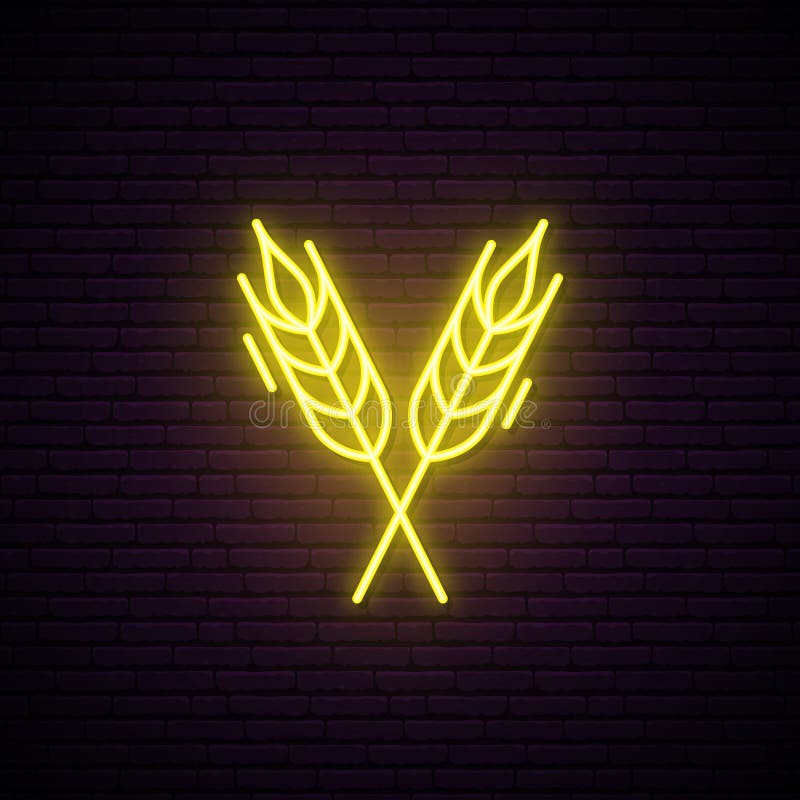 Wheat Spikes neon sign. Bright signboard. vector illustration