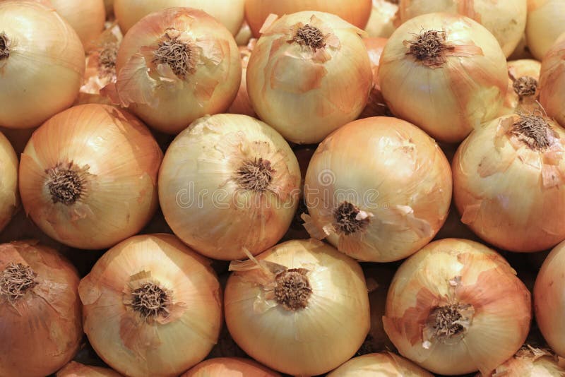 Yellow onions. Displayed at a food store stock photo