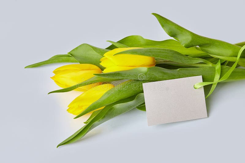 Yellow tulips bouquet with blank tag on a table in vase stock images