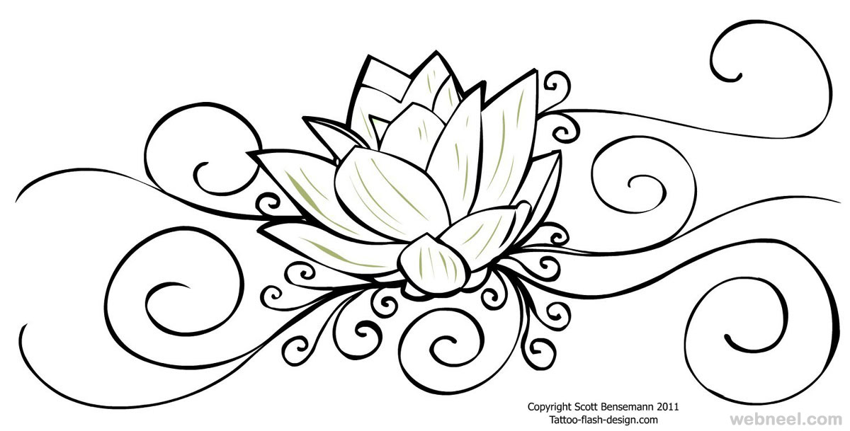 flower drawing lotus