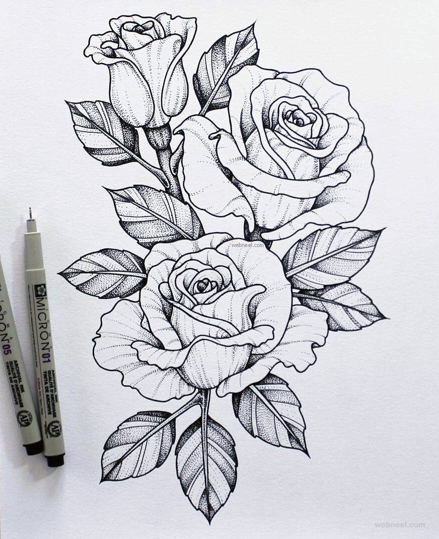 flower drawing rose