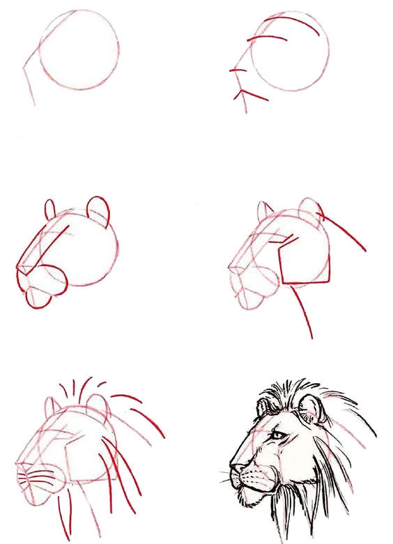 исунки животных для срисовки карандашом для начинающих поэтапно-2
