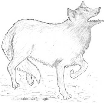 Howling Wolf Drawing